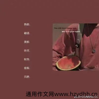 小众且精致二字网名