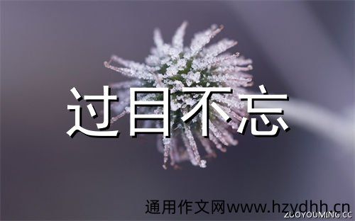 让人过目不忘的网名独特个性昵称大全(精选200个)