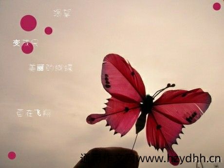 个性签名幽默搞笑2020