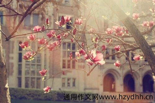 2020最新幸福微信个性签名