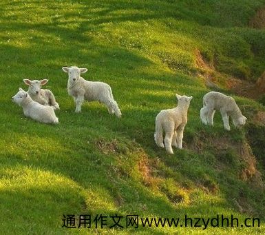 最新幽默可爱关于明星的个性签名 微信简短关于明星签名