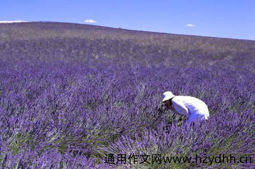 文雅有诗意的个性签名