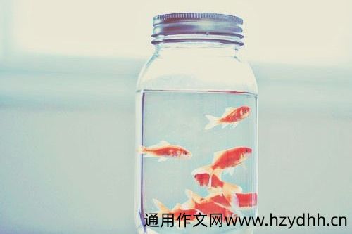 简短又内涵的美拍个性签名