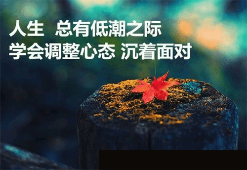 拼搏的句子经典语录