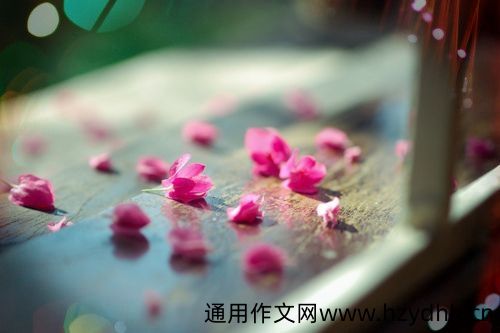 晒个存在感句子说说
