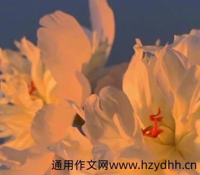 早出晚归的生活说说 为生活早出晚归的句子