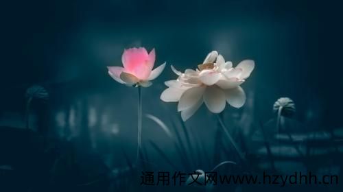 爱情伤感语录痛到心里 爱情伤感语句