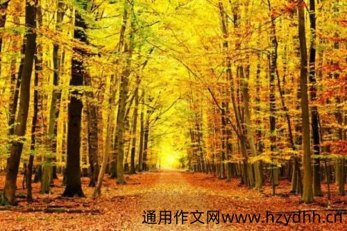 秋天朋友圈文案 浪漫的秋天的唯美句子