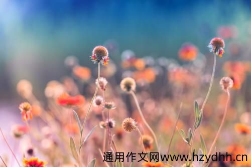 环境描写的优美句子 环境描写的优美段落