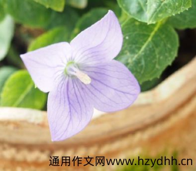希望生活变轻松一点的说说 希望自己生活越来越好的句子