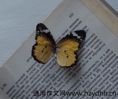 再也回不到过去的语录 回不到曾经的经典说说