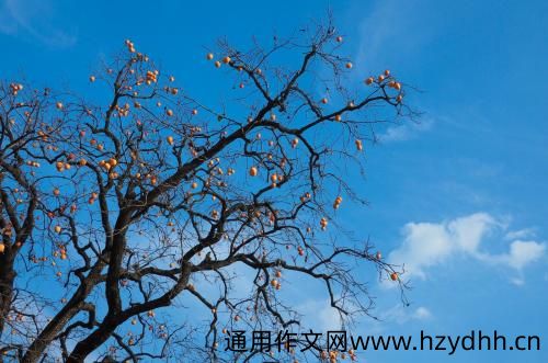 你怎么对我我就怎么对你的说说