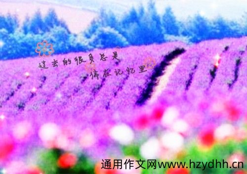 生活就是柴米油盐的说说