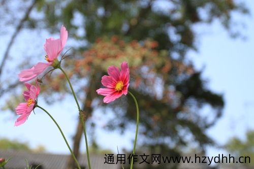 中秋节朋友圈经典说说