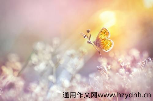 开始谈恋爱的心情说说