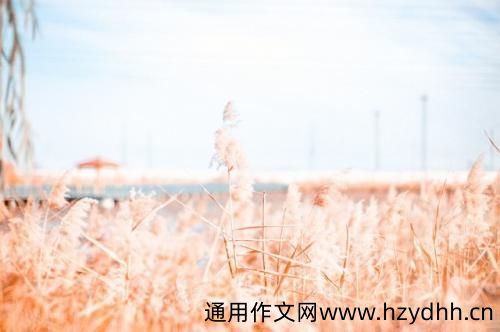 早安问候语幽默说说 2021早安问候语幽默大全
