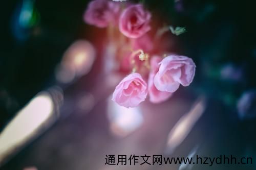 领悟人生的经典语句 关于坚持的正能量句子