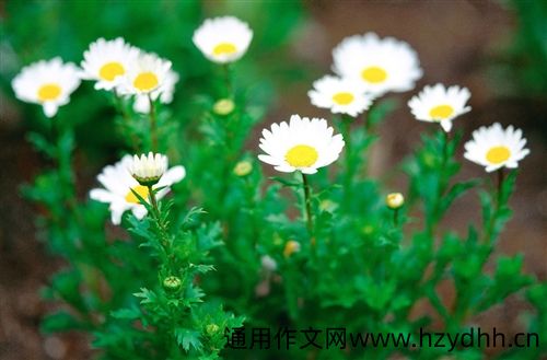 累并快乐着的心情说说