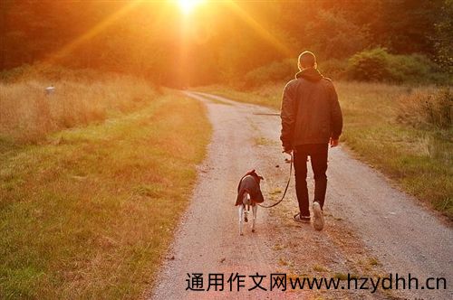 适合发狗的朋友圈的句子