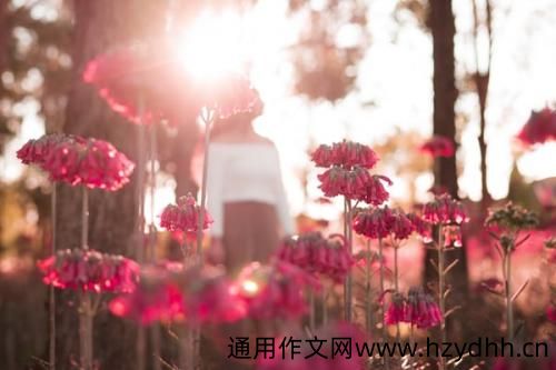 关于一家人在一起的幸福说说