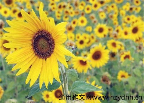 激励自己的话奋斗的朋友圈说说