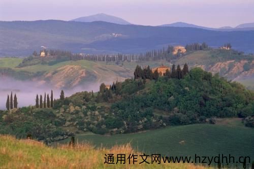 蒲公英发朋友圈说说