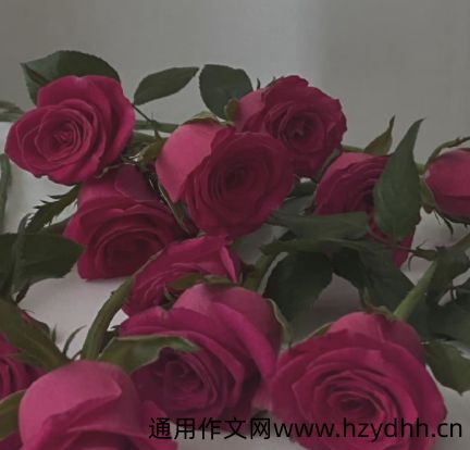 朋友圈晒奖学金的文案 拿到奖学金的开心说说