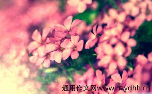 适合发朋友圈的经典短句 最好的句子发朋友圈