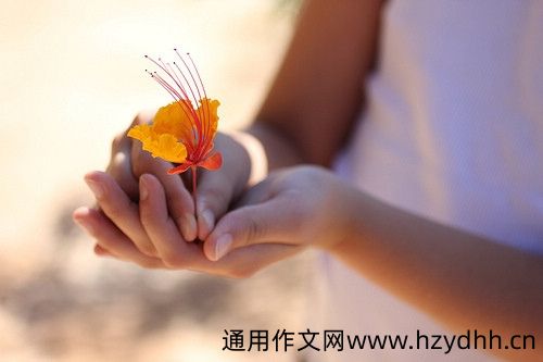 看电视看到很晚的说说