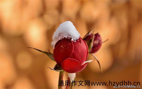 一段很现实的话适合发朋友圈
