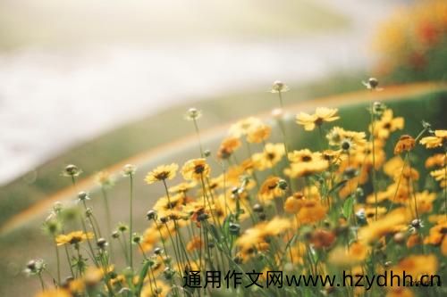 2021平安夜苹果说说 平安夜送苹果的祝福语