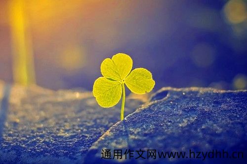 和朋友的自拍照发朋友圈的说说