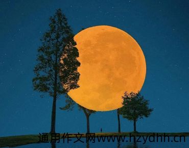 希望自己能够被好好珍惜的说说 愿自己能够被喜欢的人爱惜的句