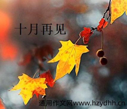 十月最后一天的伤感说说 十月再见十一月你好伤感语录