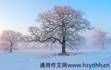 2021立冬文案合集干净治愈的句子 适合立冬发朋友圈的绝美说说