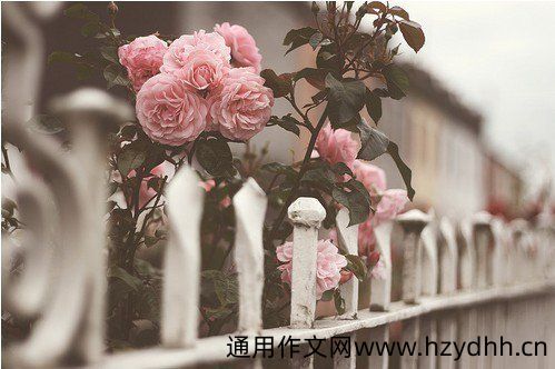 忧伤的句子说说心情 有点小忧伤的唯美句子