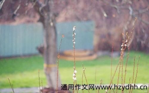 下雨天吸引人的朋友圈文案 下雨天发朋友圈的说说