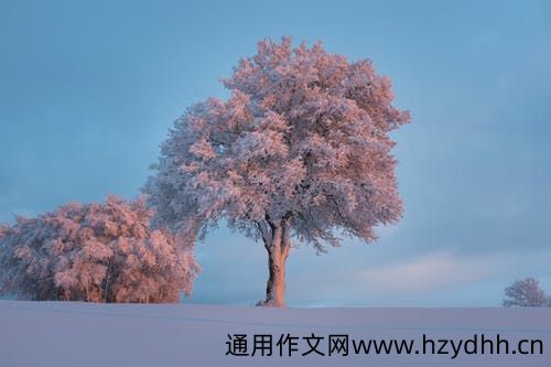 微商发朋友圈走心软文 微商走心文案范文