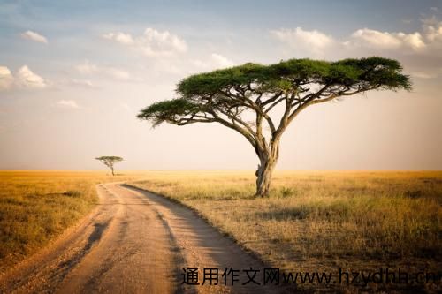 恋爱表白的话语 想对喜欢的人表白的话