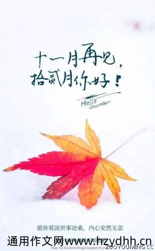 11月再见12月你好正能量说说(精选57句)