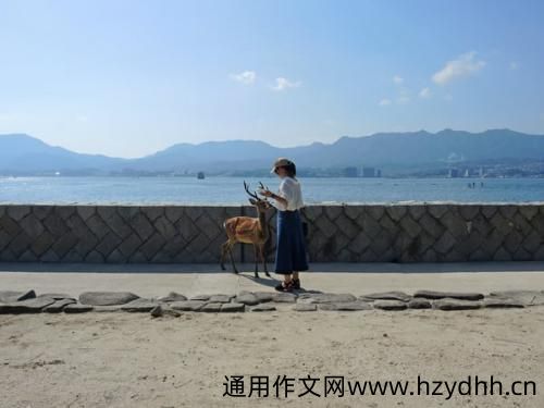 丧到极致的说说