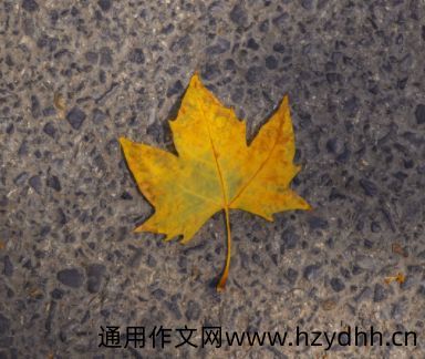 感觉自己老了的经典文案 感慨自己老了的说说