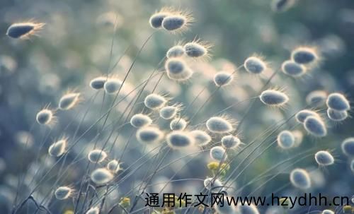 眼泪的句子说说心情 眼泪掉下来的说说心情