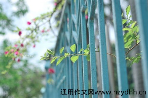 生病了一个人扛的说说