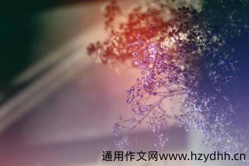 有哲理性的句子励志 励志哲理的短句