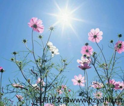 阳光跟暖内心很温柔的文案 阳光正好微风不燥的说说