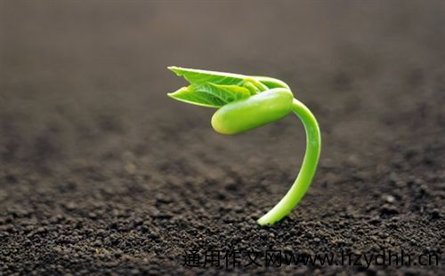 培训累并快乐着的心情说说