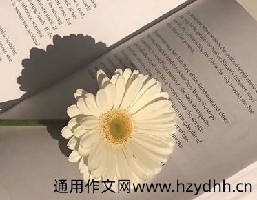 第一次玩迷失逃脱的说说 玩密室逃脱发朋友圈的短句