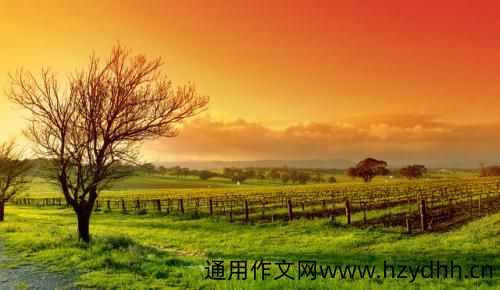 2021爱家爱生活的句子 精选爱家的优美句子