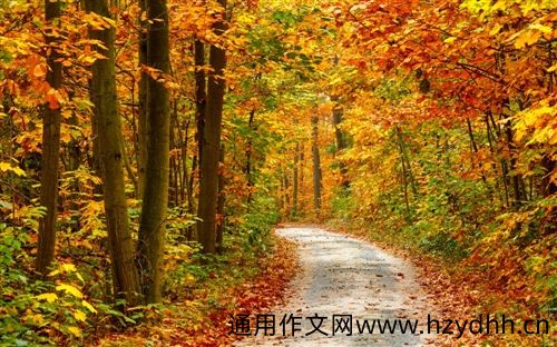 该长大了该成熟了的说说